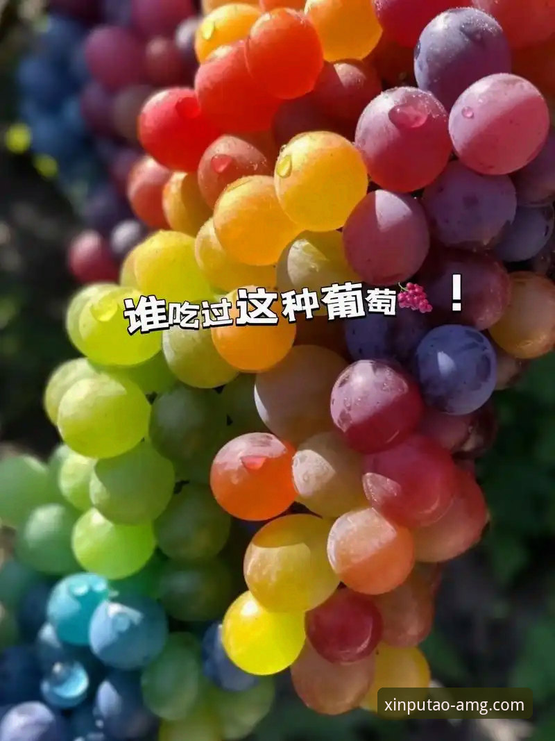 2026新葡萄官方网站 新葡萄8883官网资深用户分享:2026新葡萄官方网站实战体验与技术评测
